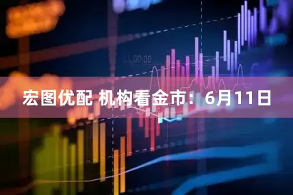 宏图优配 机构看金市：6月11日
