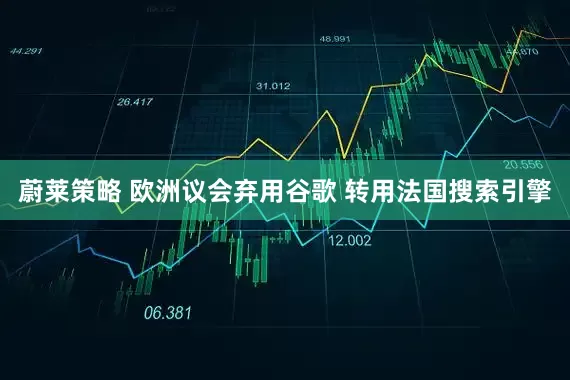 蔚莱策略 欧洲议会弃用谷歌 转用法国搜索引擎