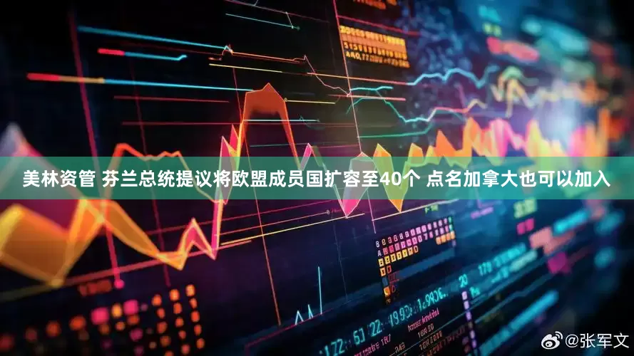 美林资管 芬兰总统提议将欧盟成员国扩容至40个 点名加拿大也可以加入